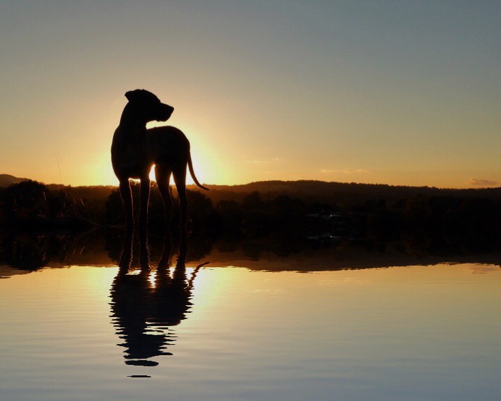 image.jpg  by WPC-37