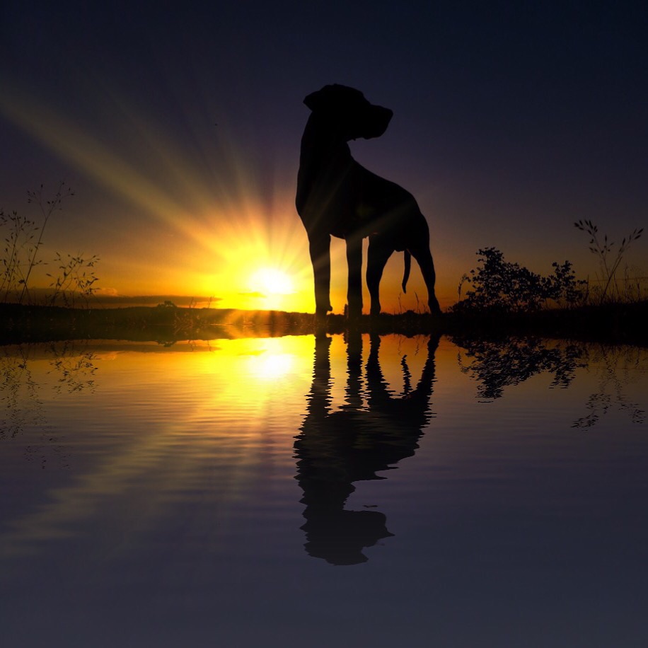 image.jpg undefined by WPC-37