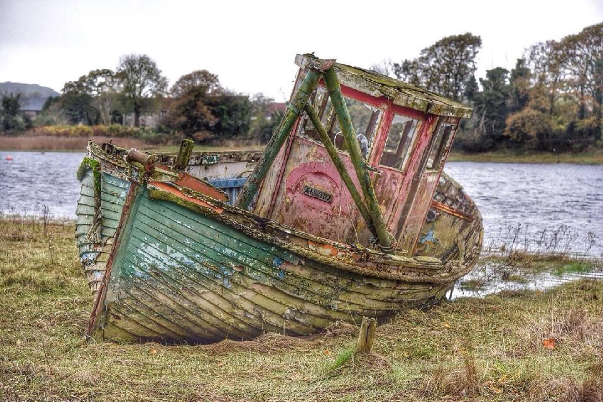 image.jpg  by WPC-37