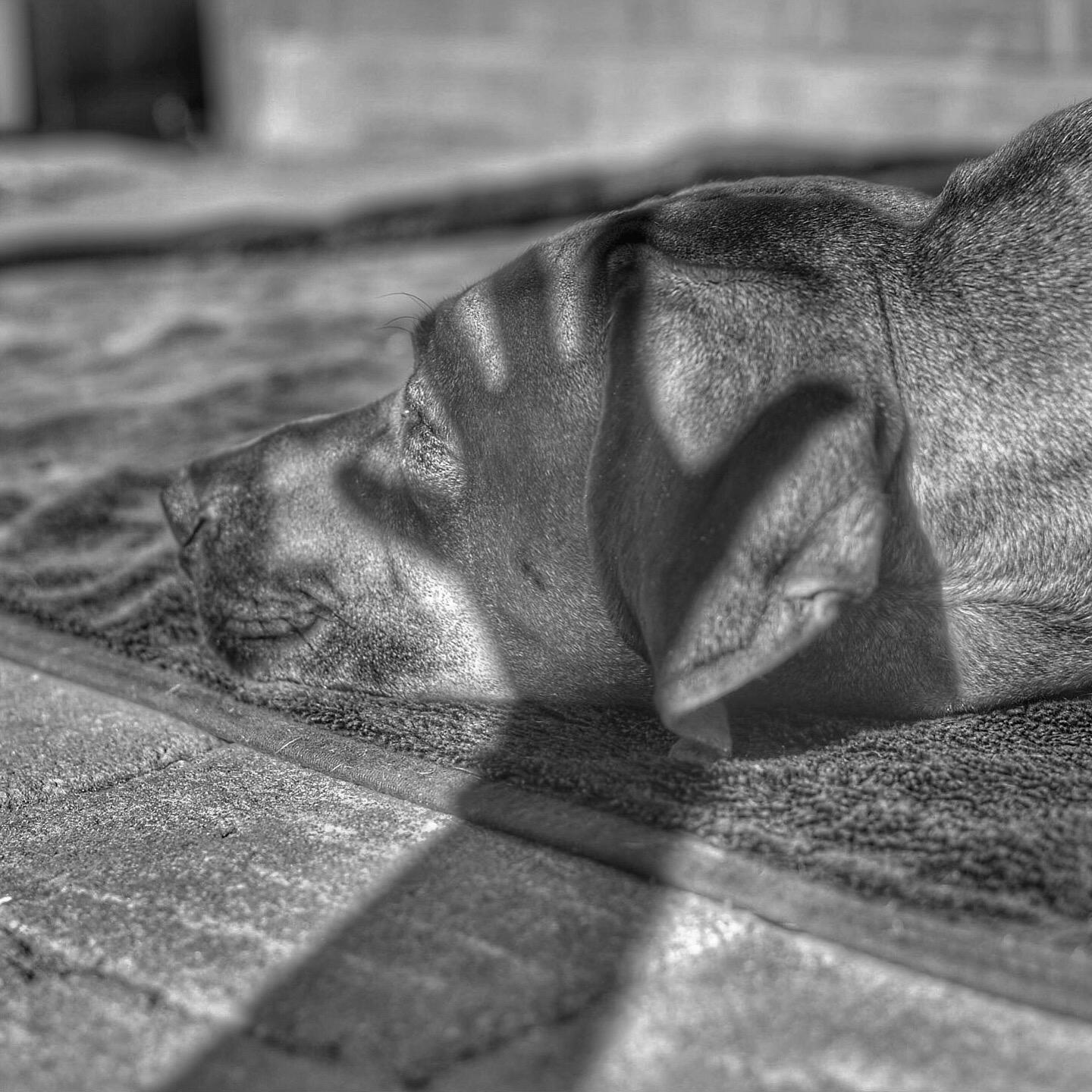 image.jpeg undefined by WPC-37