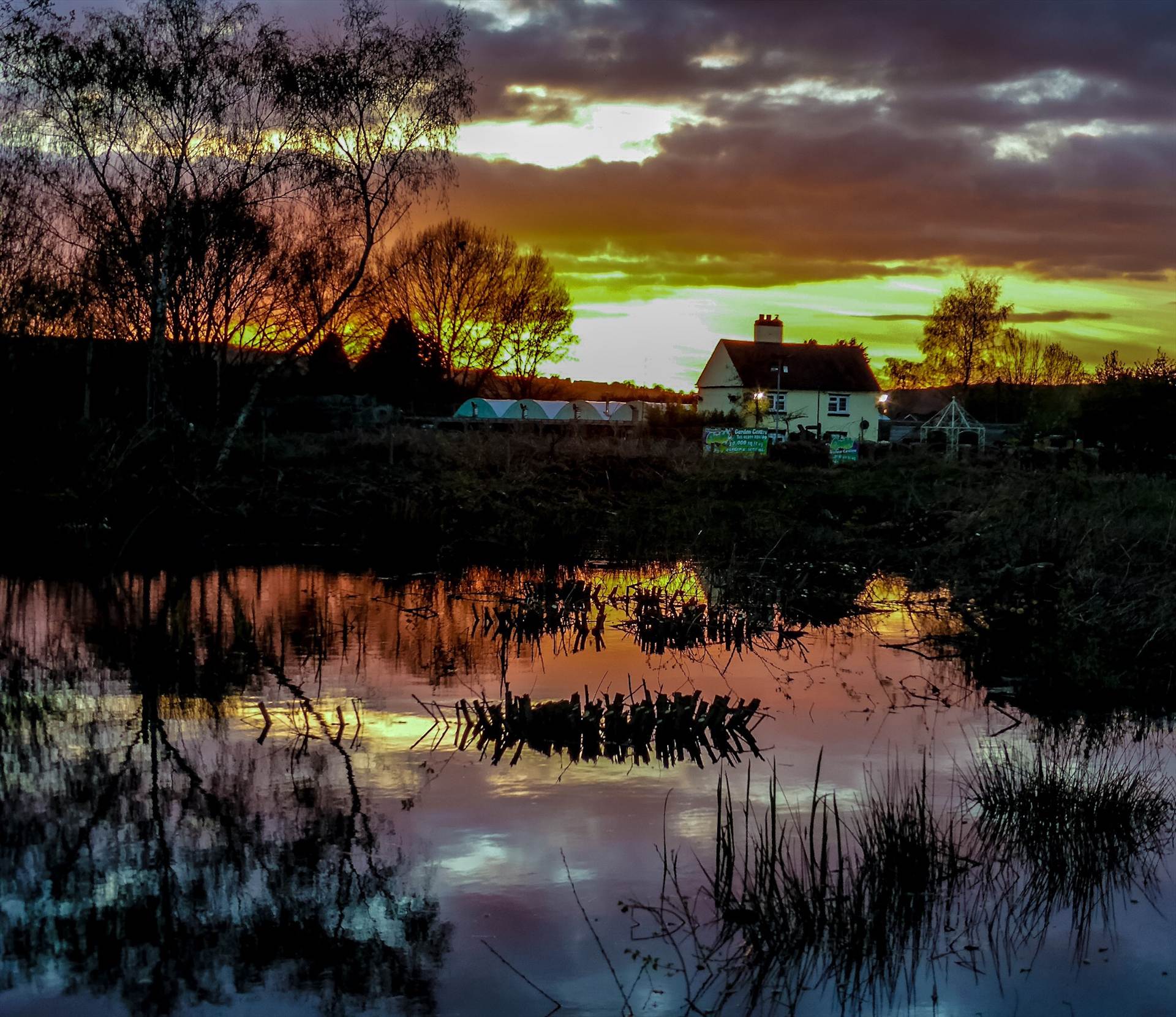 image.jpg  by WPC-37