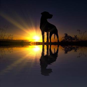 image.jpg - undefined