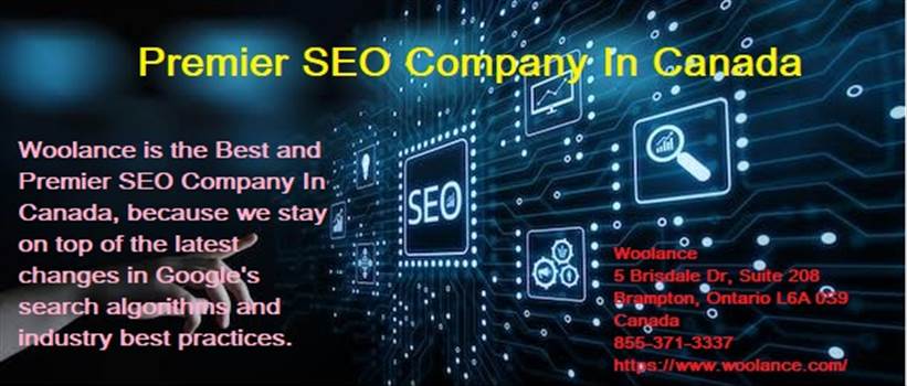 The Promotion Of The Business Is The Key To Success!

Search Engine Optimization (SEO) is the best direction to achieve an online presence.

It is very much essential to hire a Premier SEO Company In Canada. 

Companies turn to us for our in-depth k