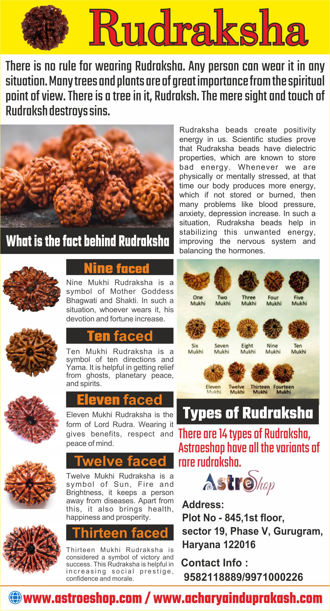 Rudraksha.jpg  by astroshopkundli