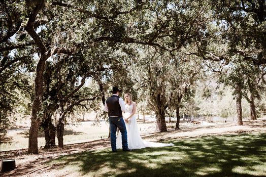 First Look-1478.jpg by The Werlands