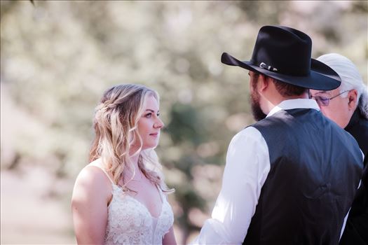 Ceremony-0101.jpg by The Werlands