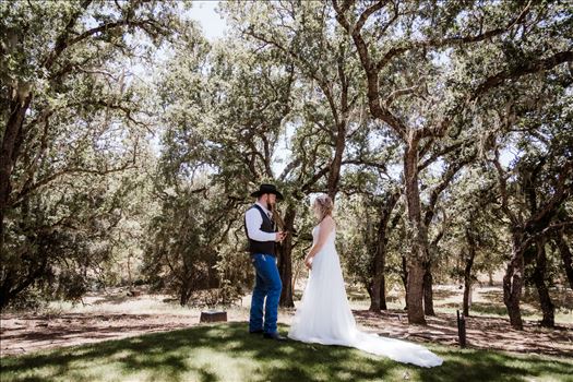 First Look-0895.jpg by The Werlands