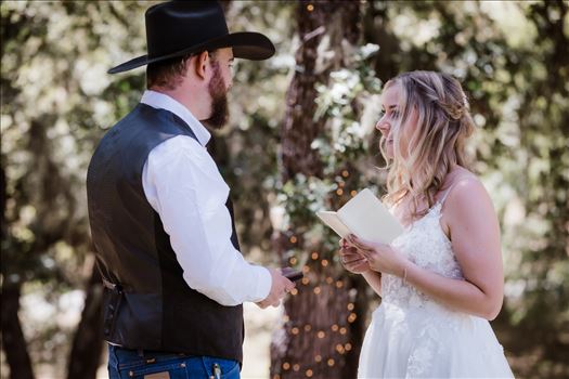 First Look-0853.jpg by The Werlands