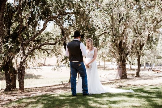 First Look-1480.jpg by The Werlands