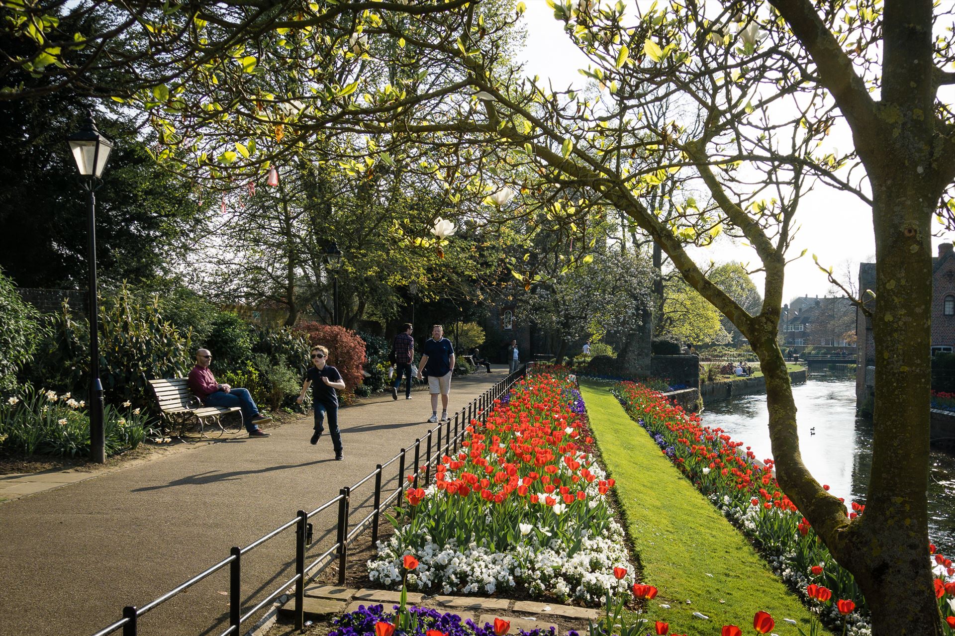 Spring Canterbury's Westgate gardens with its spring blooms by Jimages
