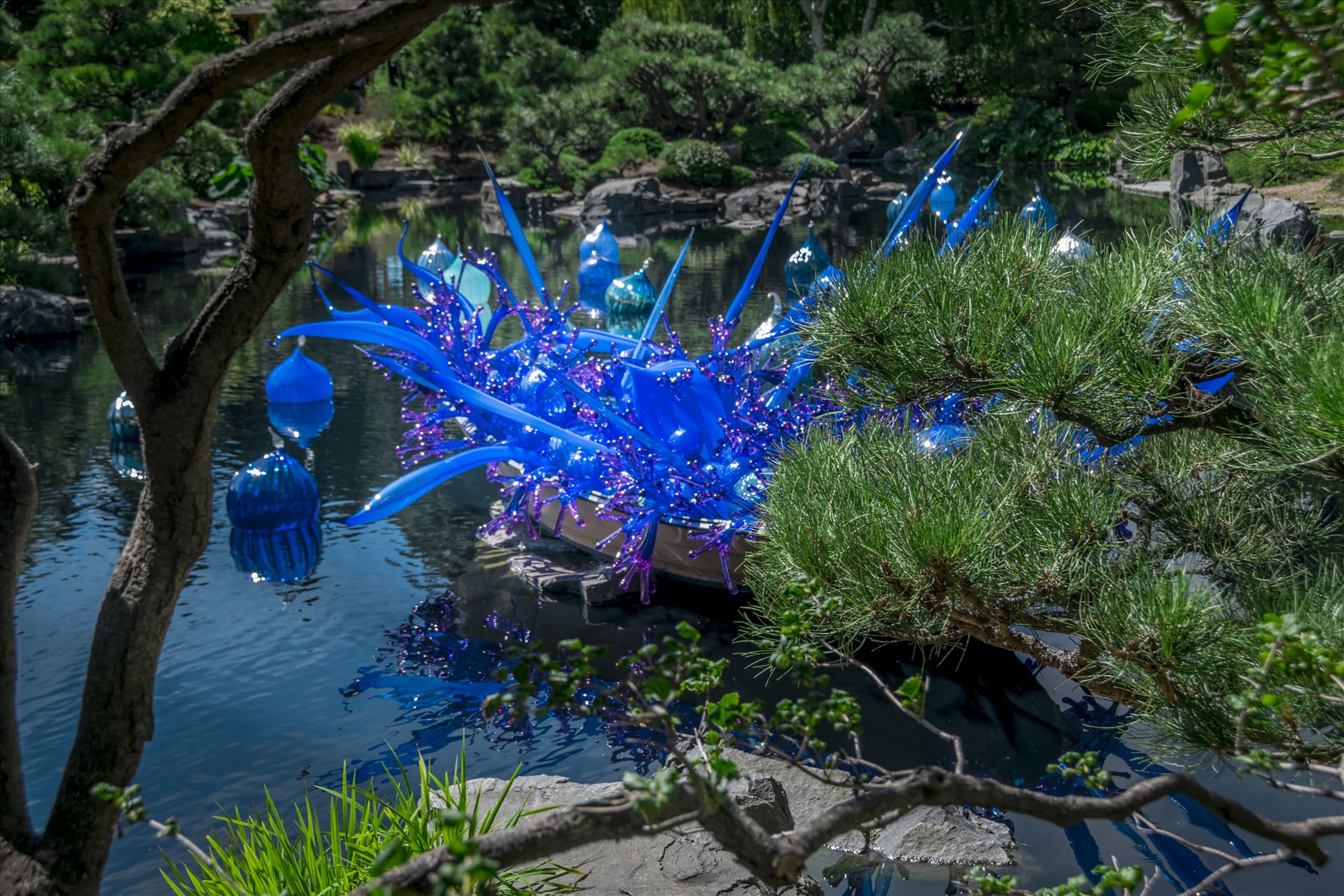 Chihuly Blue Boat 2.jpg  by Dennis Rose