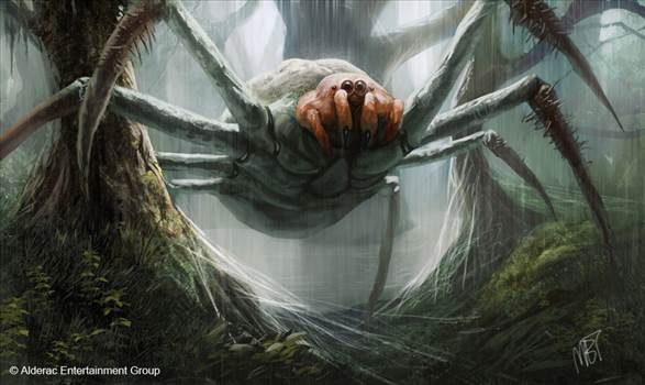 giant_spider_by_markusthebarbarian-d3d89lm.jpg by Frank Bell
