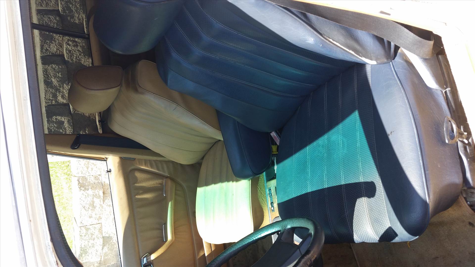 20150819_120915.jpg  by danielac