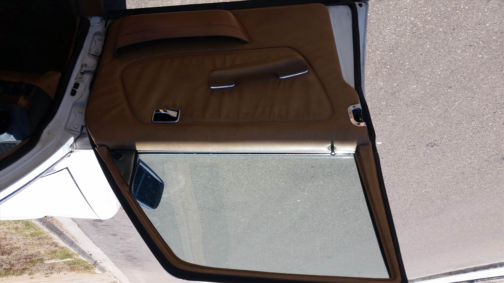 20150819_120931.jpg  by danielac