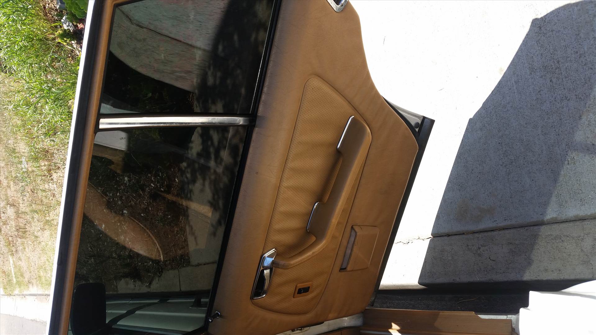 20150819_125450.jpg  by danielac