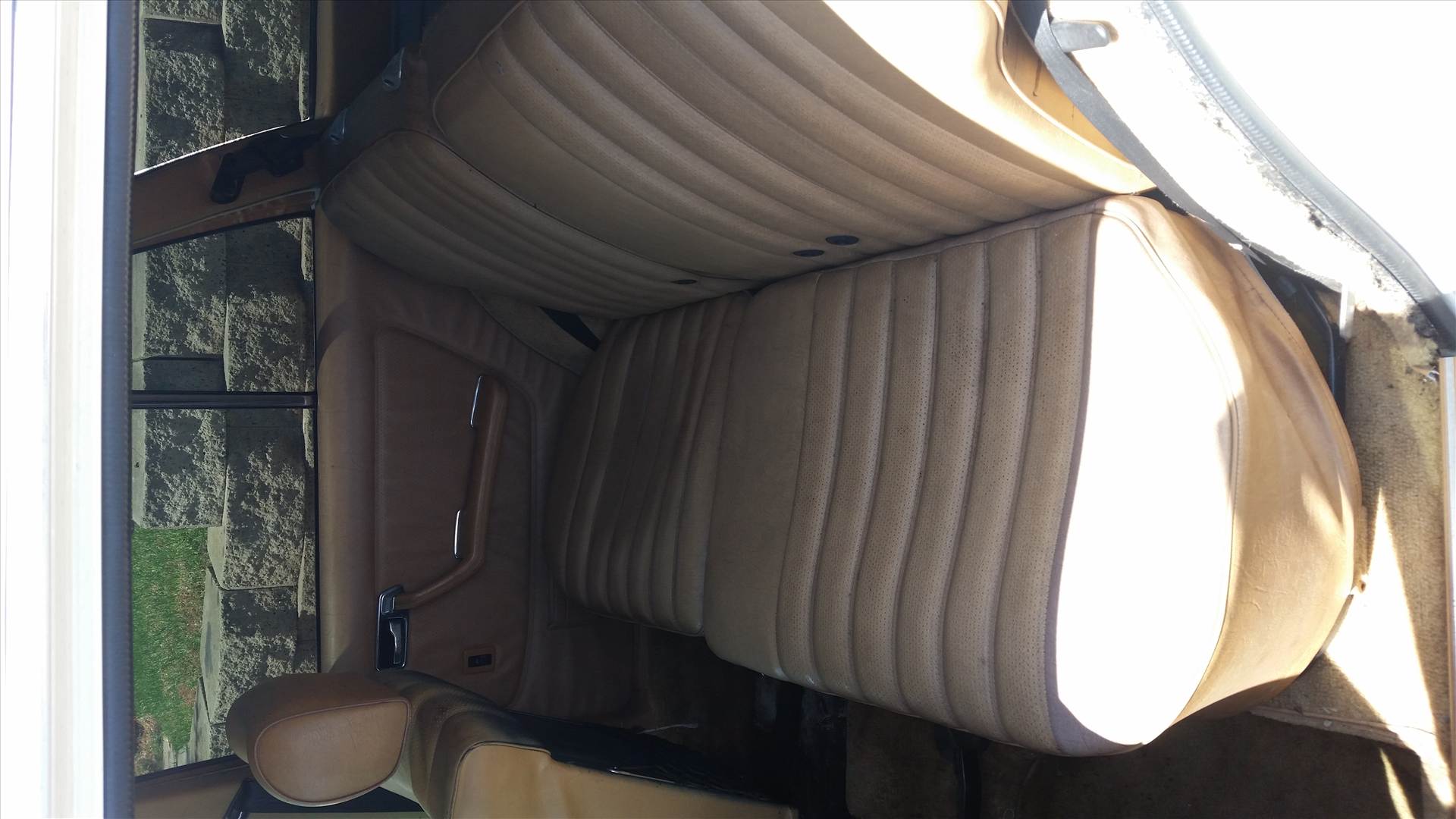 backseat.jpg  by danielac