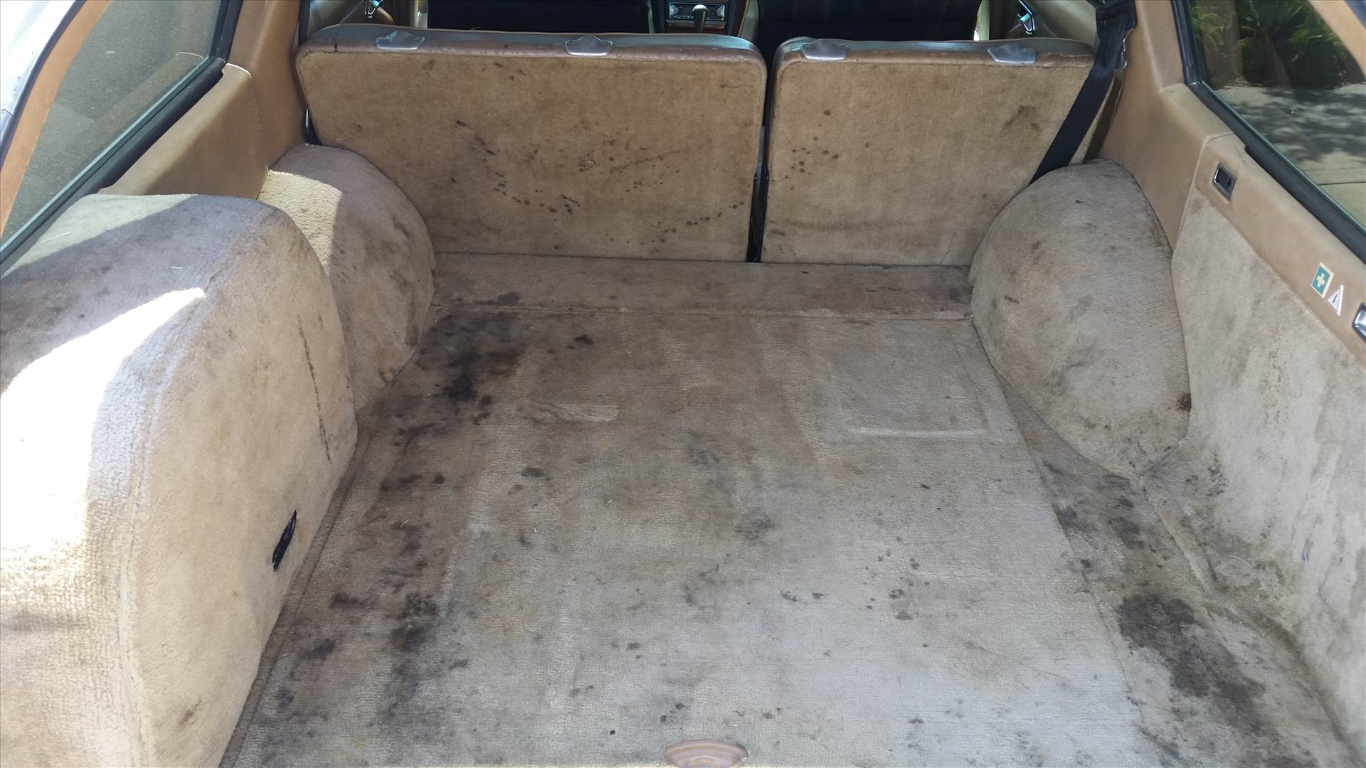 20150819_121203.jpg  by danielac