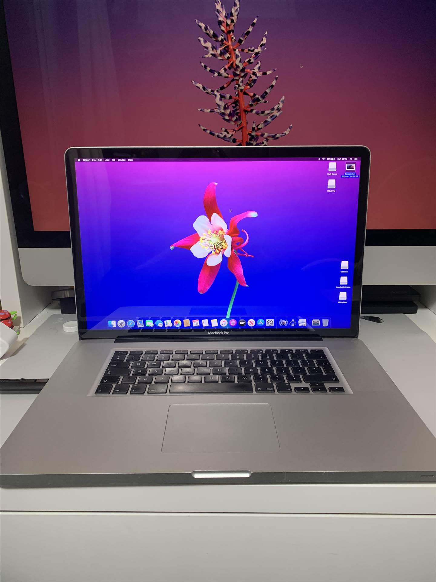 IMG_0857.JPG  by Bugsy1112