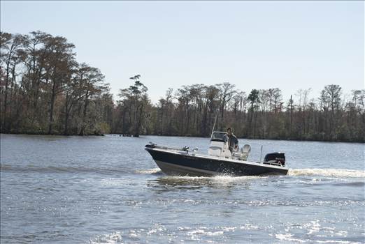 2008 Blue Wave Pure Bay