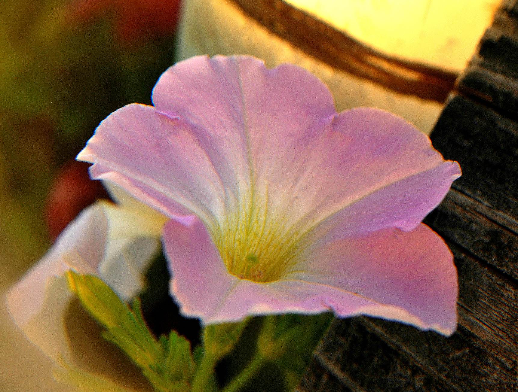 DSC_0033.jpg  by WPC-119