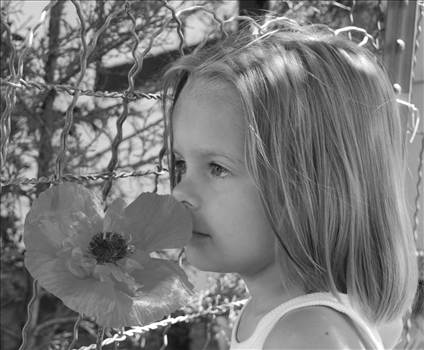 470419_4260864726296_362171906_o.jpg - 