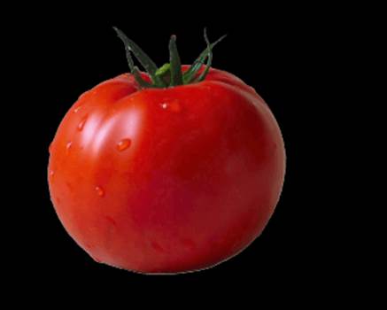 21943-8-tomatoes(1)(1).png by EccentricWriter