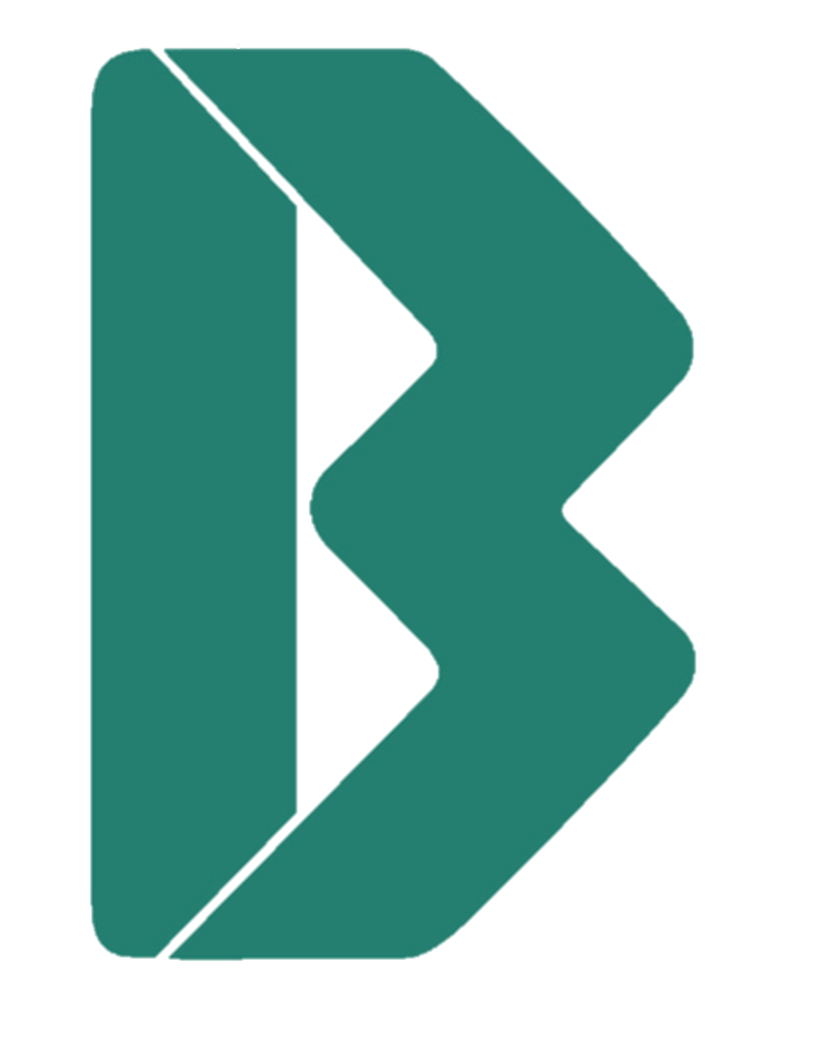 imagen logo bvn.png  by eltaji