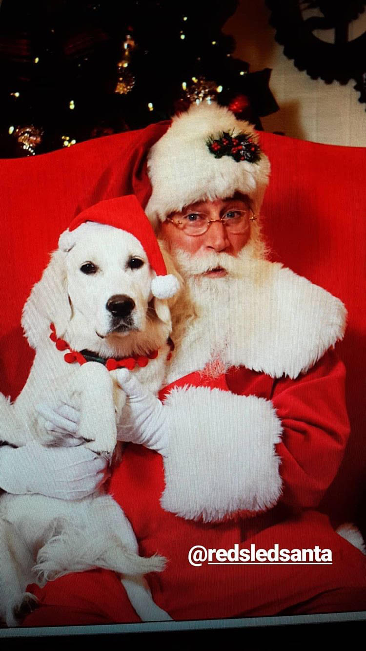santa and dog.jpg  by Christmasthenandnow