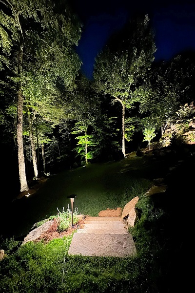 landscape_lighting_walkway2.jpg  by lampscapedesigns