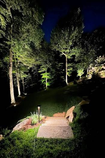 landscape_lighting_walkway2.jpg by lampscapedesigns