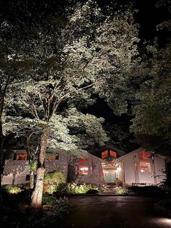 landscape_lighting_tree_in_front_of_house_entrance.jpg by lampscapedesigns