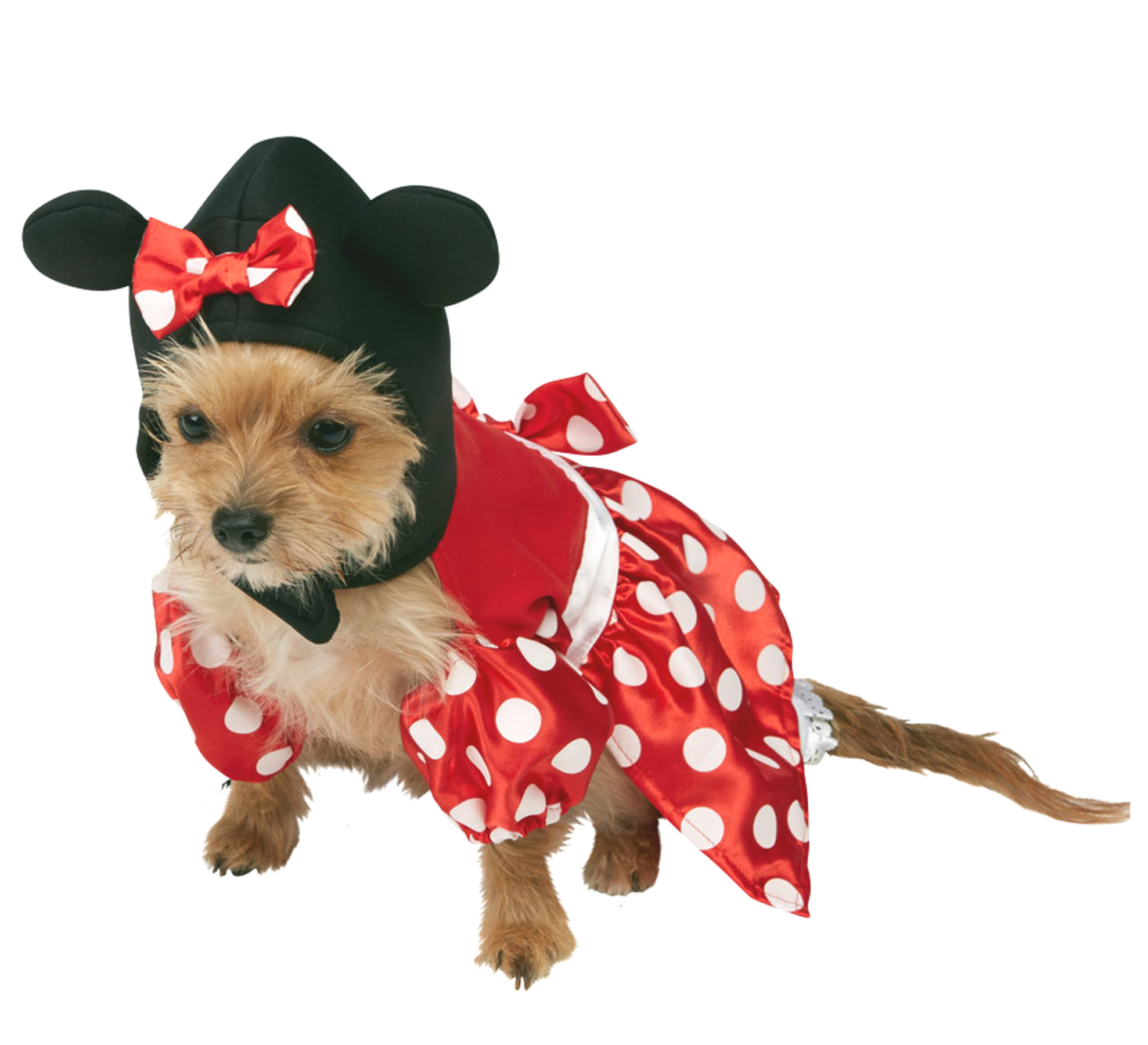 Minnie Mouse Dog Costume 580207.jpg  by Thingimijigs