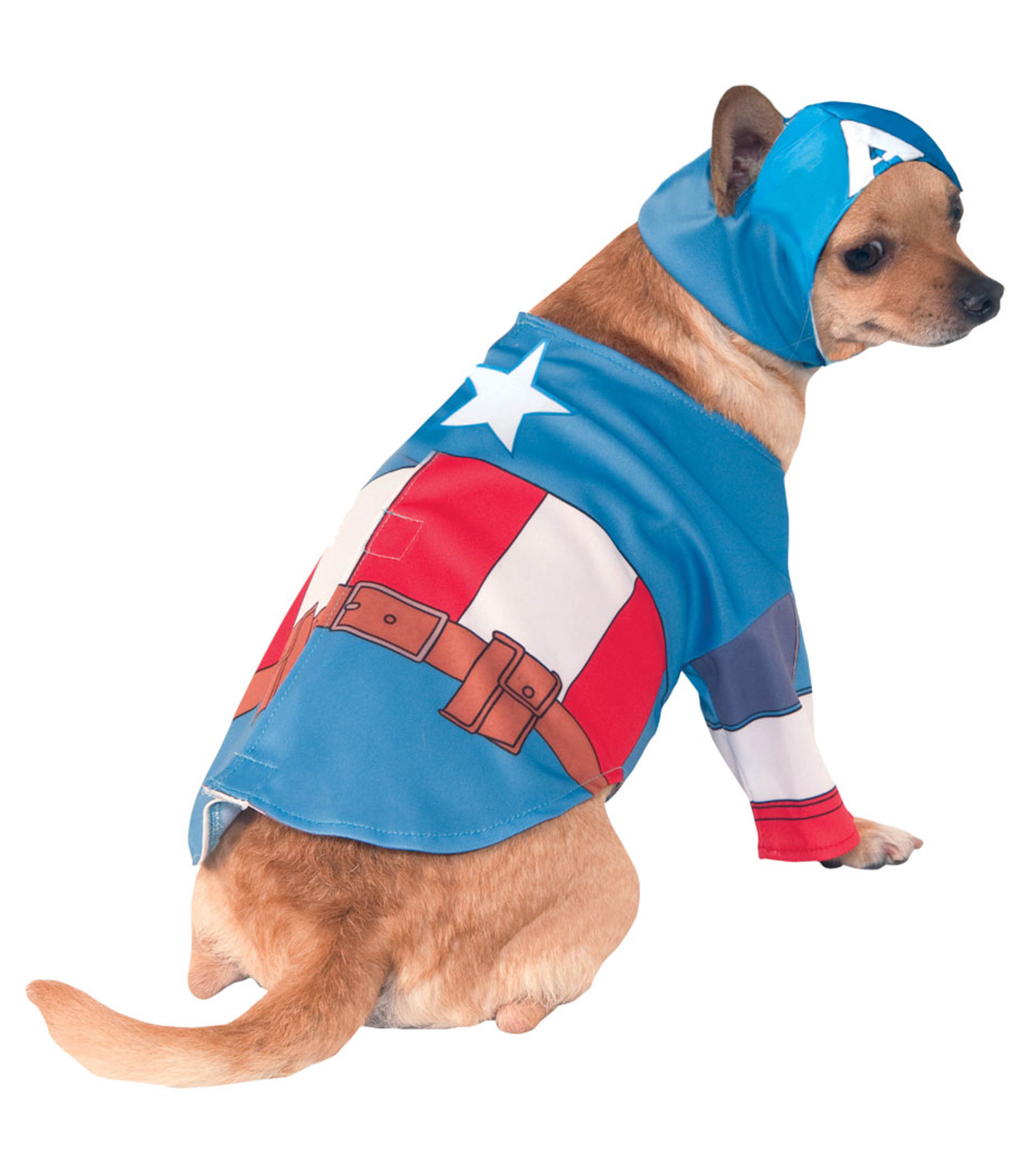 Captain America Dog Costume 580070.jpg  by Thingimijigs