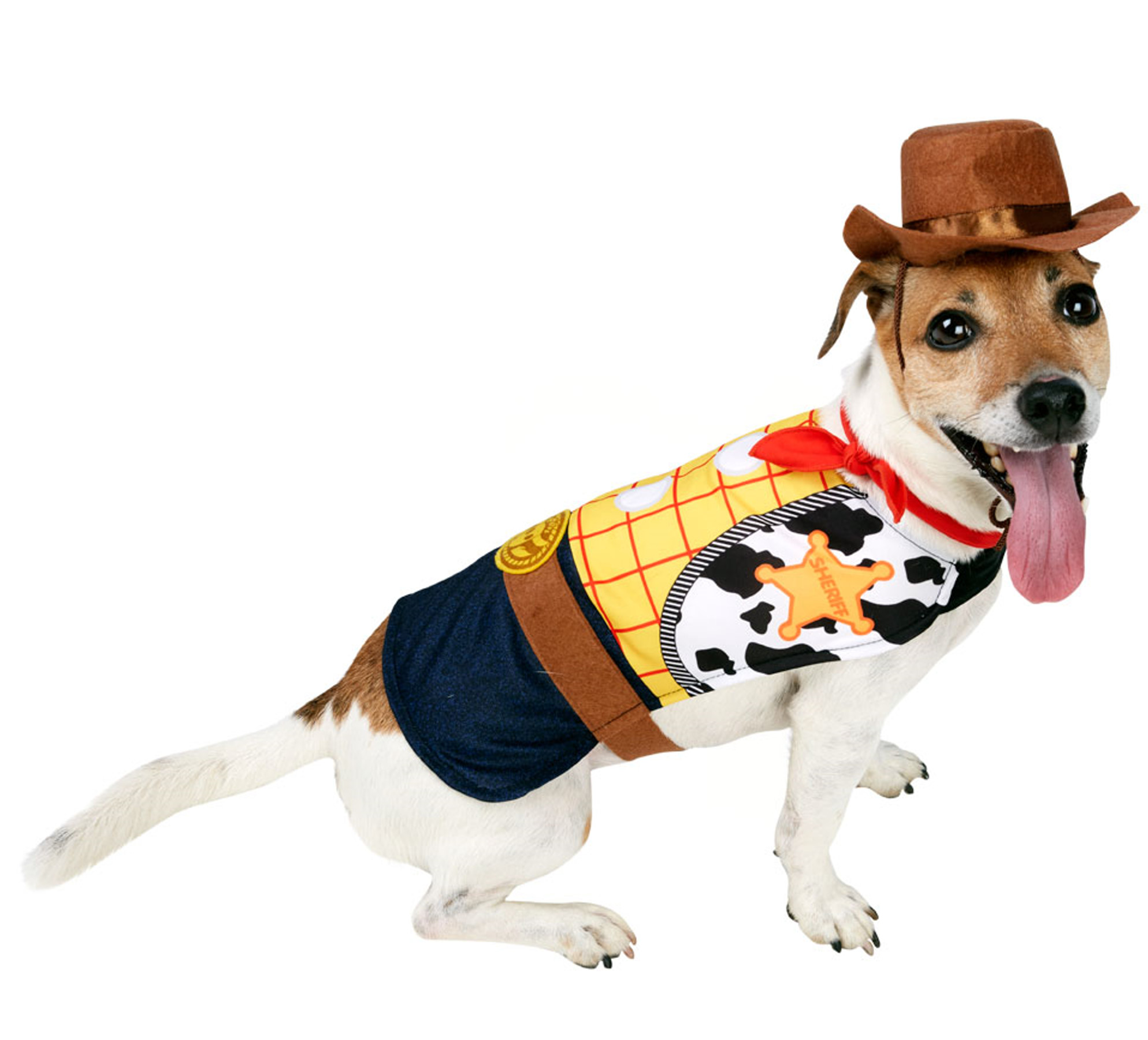 Woody Dog Costume 580210.jpg  by Thingimijigs