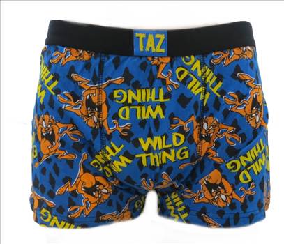 MUW15 Taz Boxer Shorts 1.JPG - 