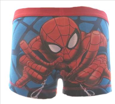 Spiderman Boxer Shorts BBOX011 2.JPG - 