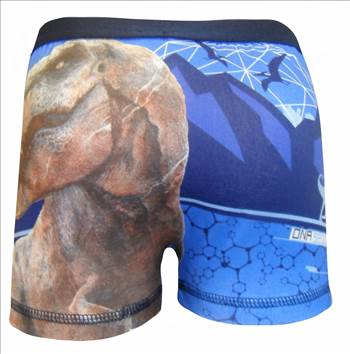 Jurassic World Boxer Shorts BBOX19.JPG - 