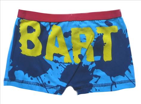 BBOX1 Simpsons Boxer Shorts.JPG - 