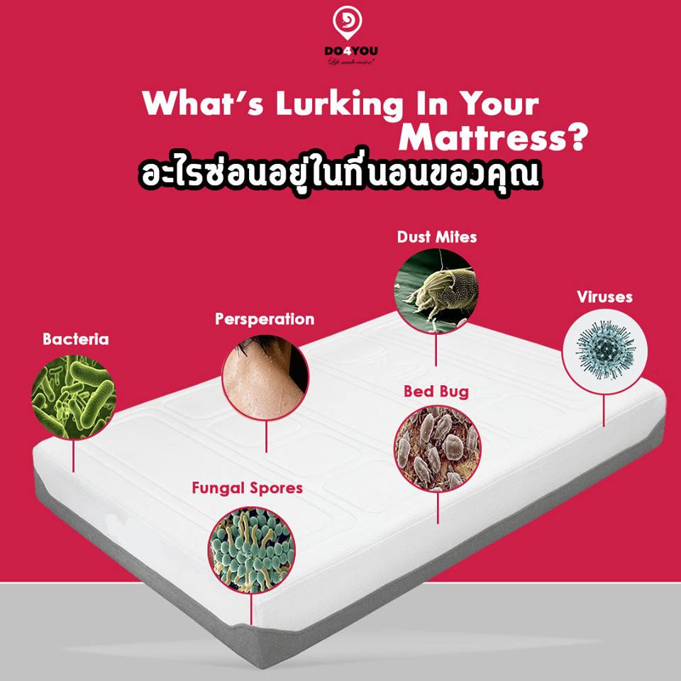 Mattress Cleaning Bangkok - Do4You.jpg  by DO4YOU