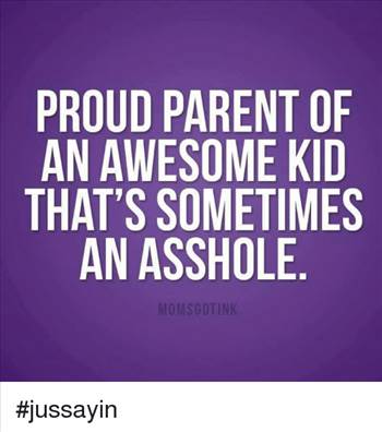 proud-parent-of-an-awesome-kid-thats-sometimes-an-asshole-4011182.png by CakeDiva