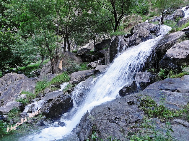 DSC01078.JPG  by WPC-86