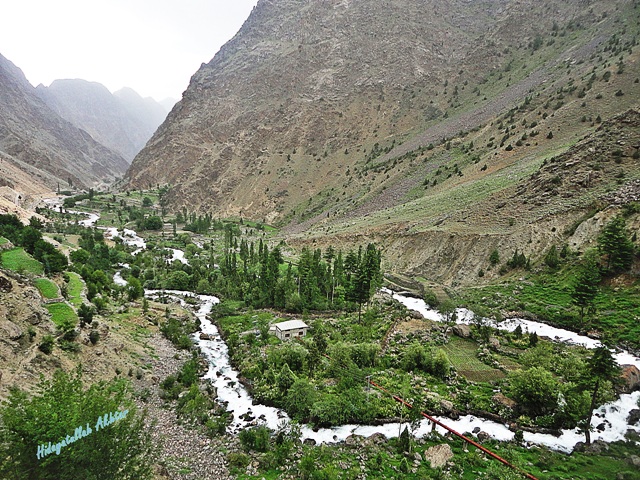 DSC02412.JPG  by WPC-86