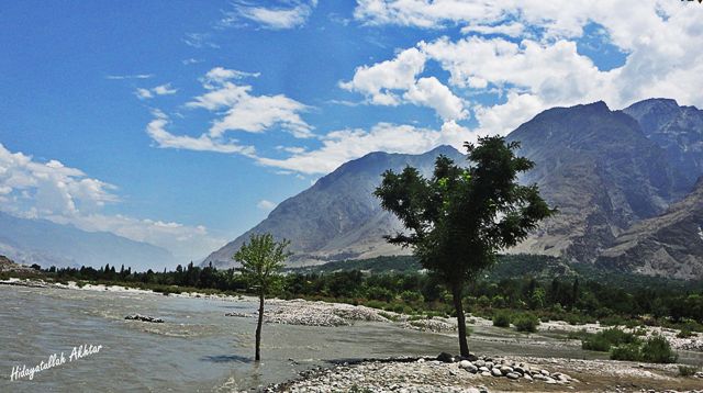 DSC02514.JPG  by WPC-86