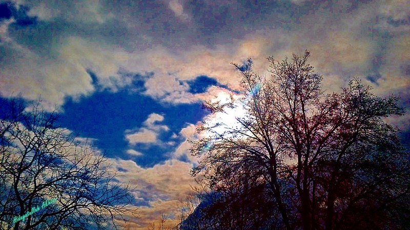 IMG_00004116.jpg undefined by WPC-86