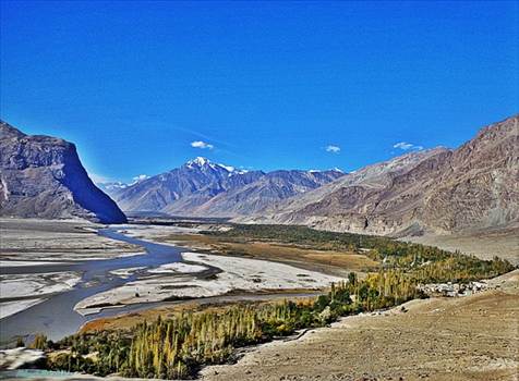 DSC02919.jpg - undefined