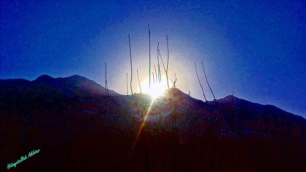 IMG_00004160.jpg - undefined