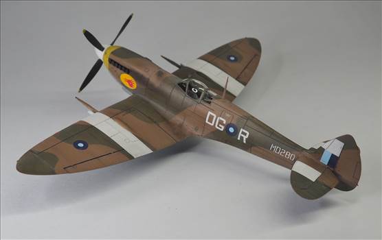 Eduard Spitfire VIII 05.JPG by ajeaton65