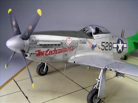 P-51D ZM 09.JPG - 
