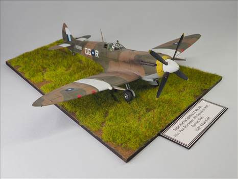 Eduard Spitfire VIII 03.JPG by ajeaton65