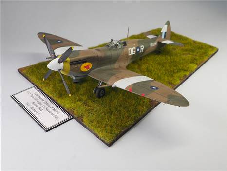 Eduard Spitfire VIII 02.JPG by ajeaton65